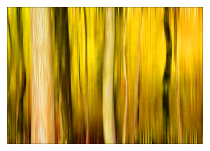 I Dream of Autumn